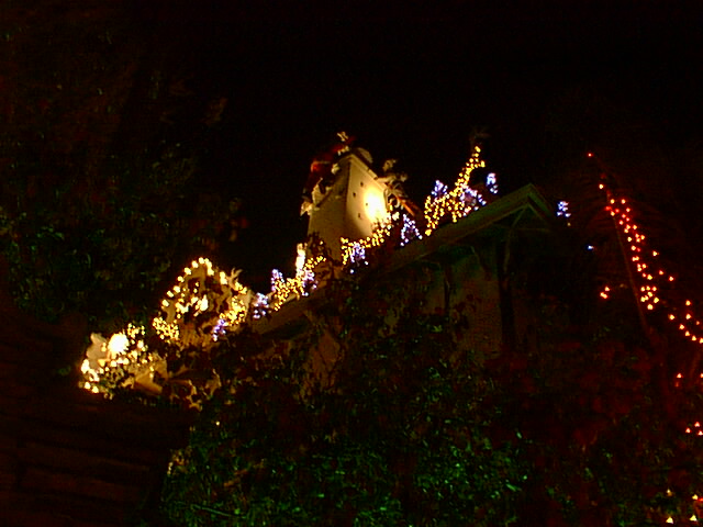 pic00028