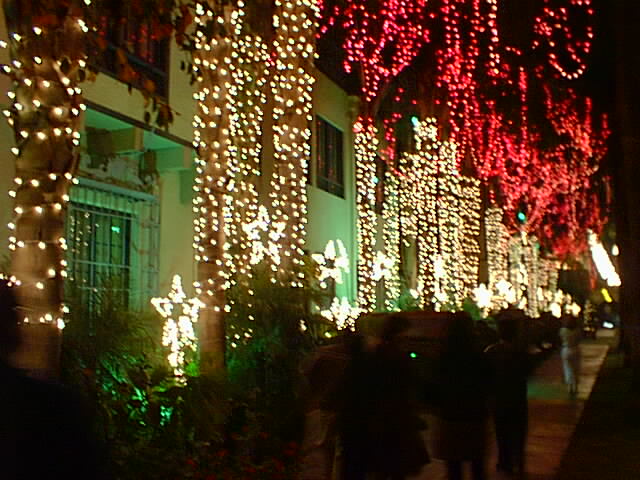 pic00029