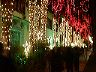 pic00029