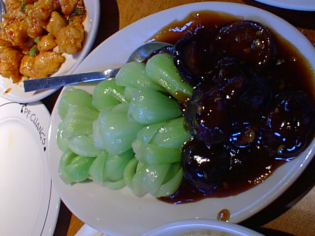 pic00005.jpg